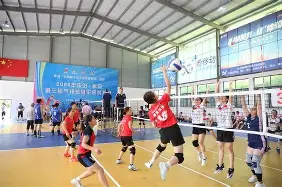 包含排球预选赛，荆楚铁骑队与关东海豚队逆转，体能对抗拉满！复盘值得玩味的词条